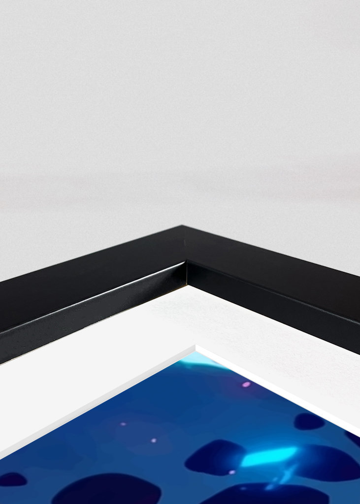 Trafalgar Law One Piece