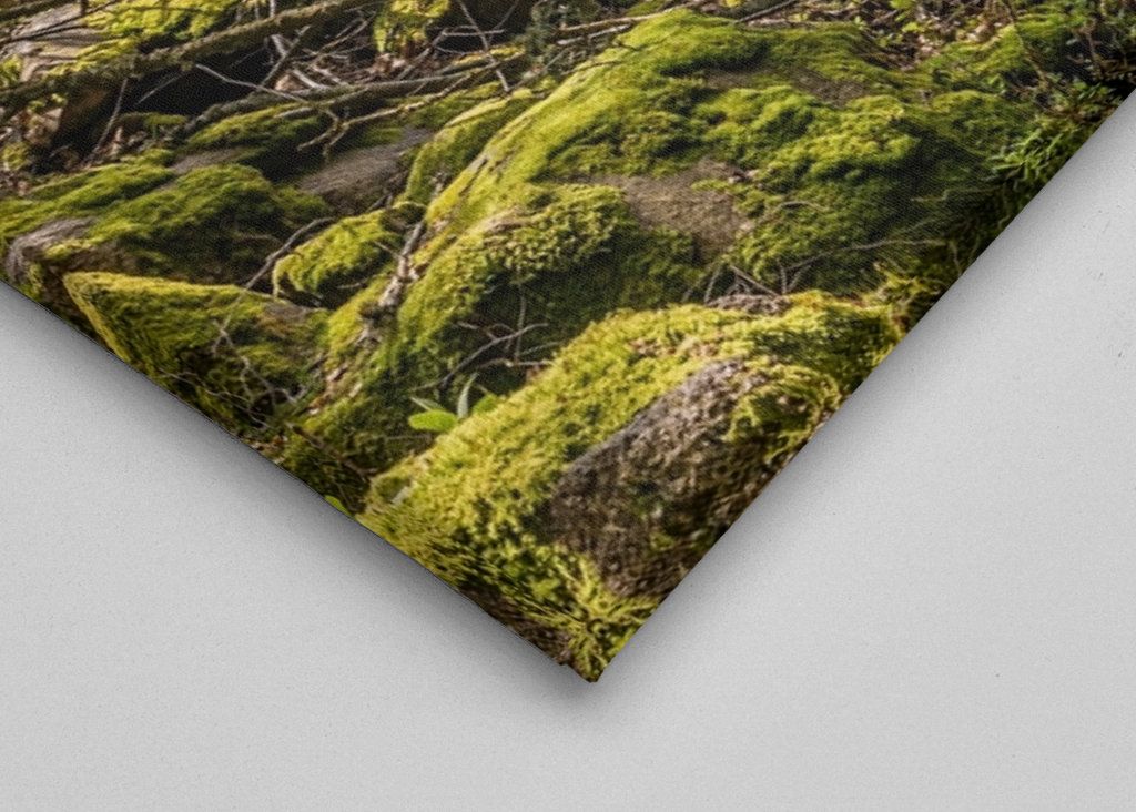 Westweg im Schwarzwald