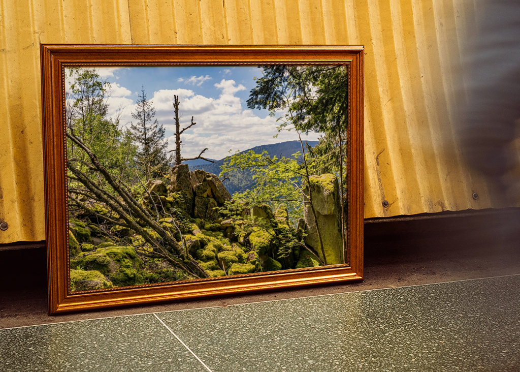 Westweg im Schwarzwald