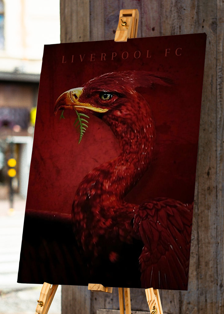 Liverpool Birds