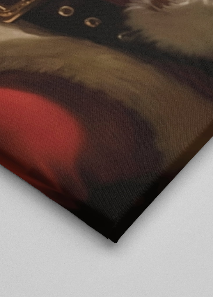 Starý muž s míčem