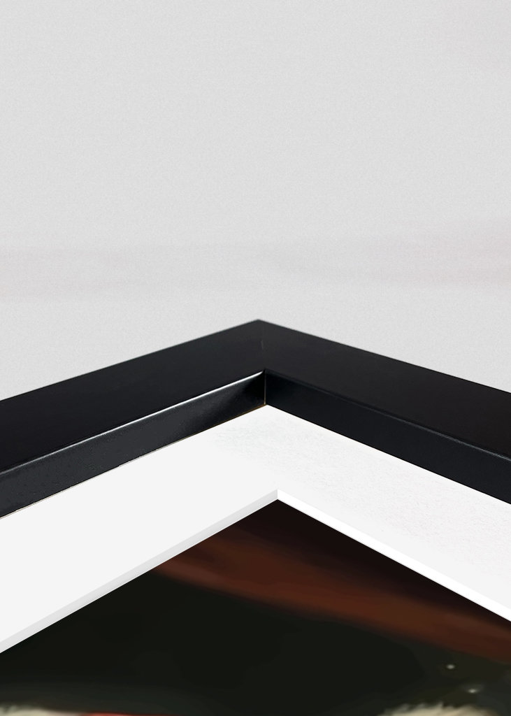 Starý muž s míčem