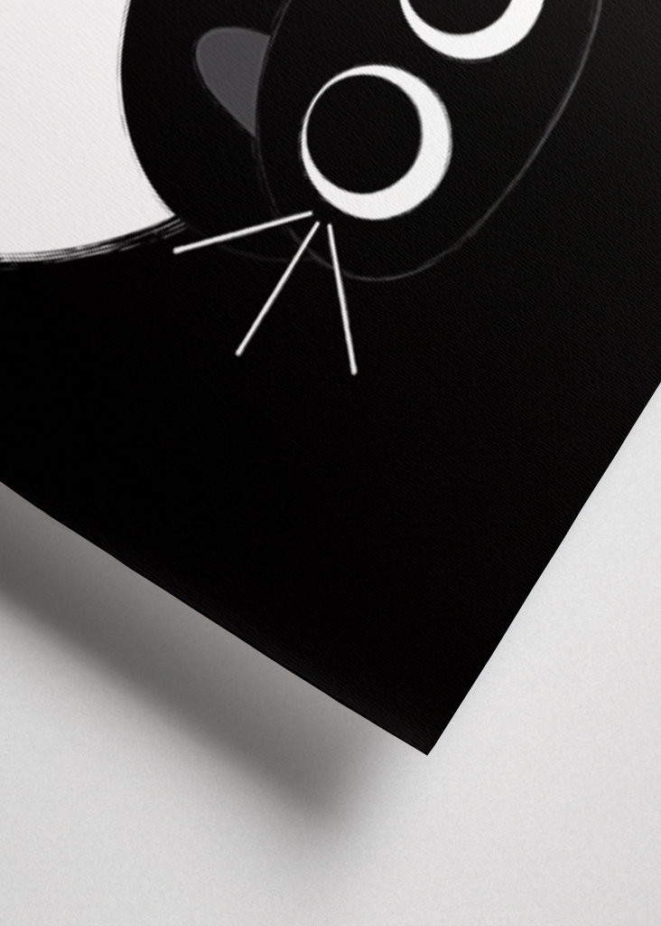 Kattens leg med edderkoppen