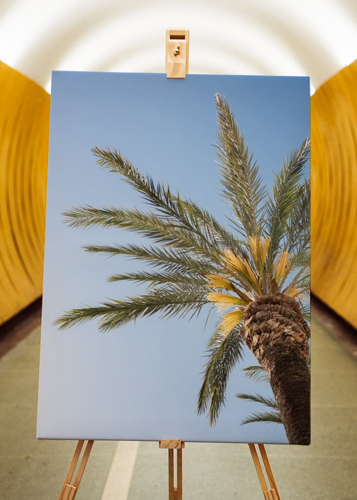 The Colorful Palm Tree