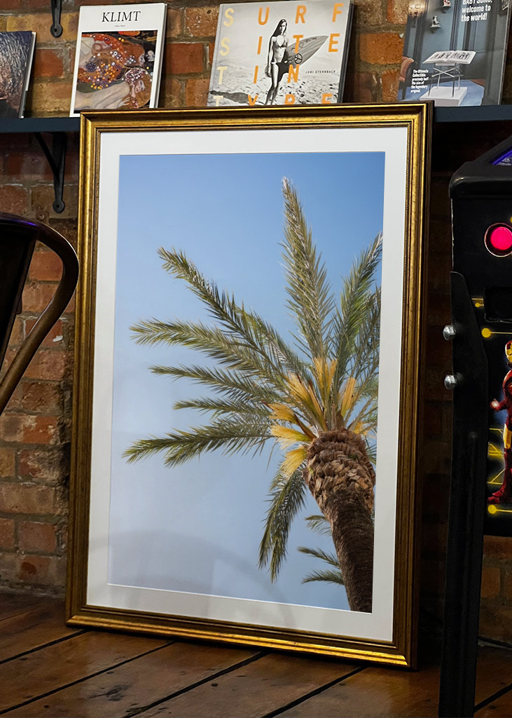 The Colorful Palm Tree