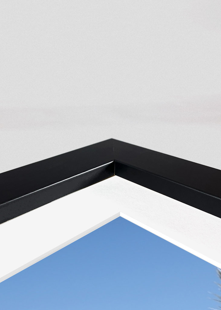 The Colorful Palm Tree