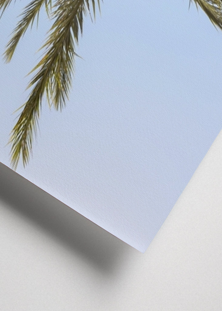 The Colorful Palm Tree