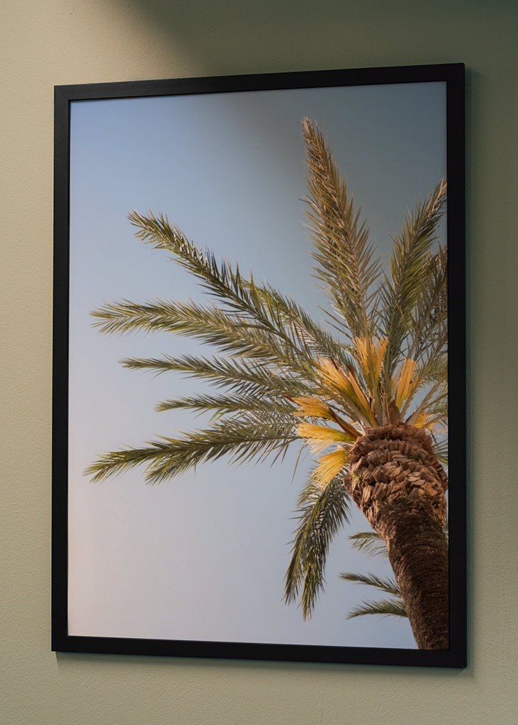 The Colorful Palm Tree