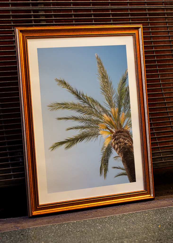 The Colorful Palm Tree