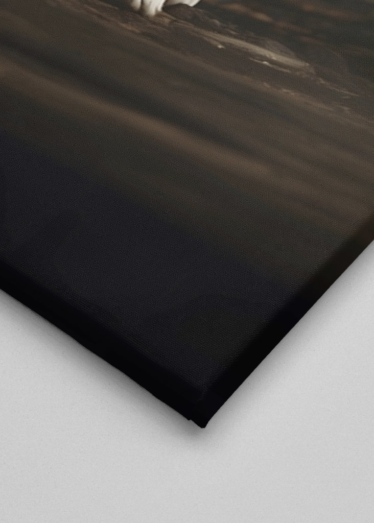  black panther white tiger