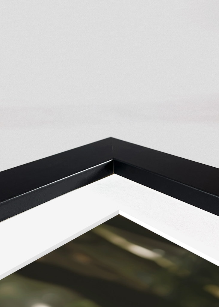  black panther white tiger