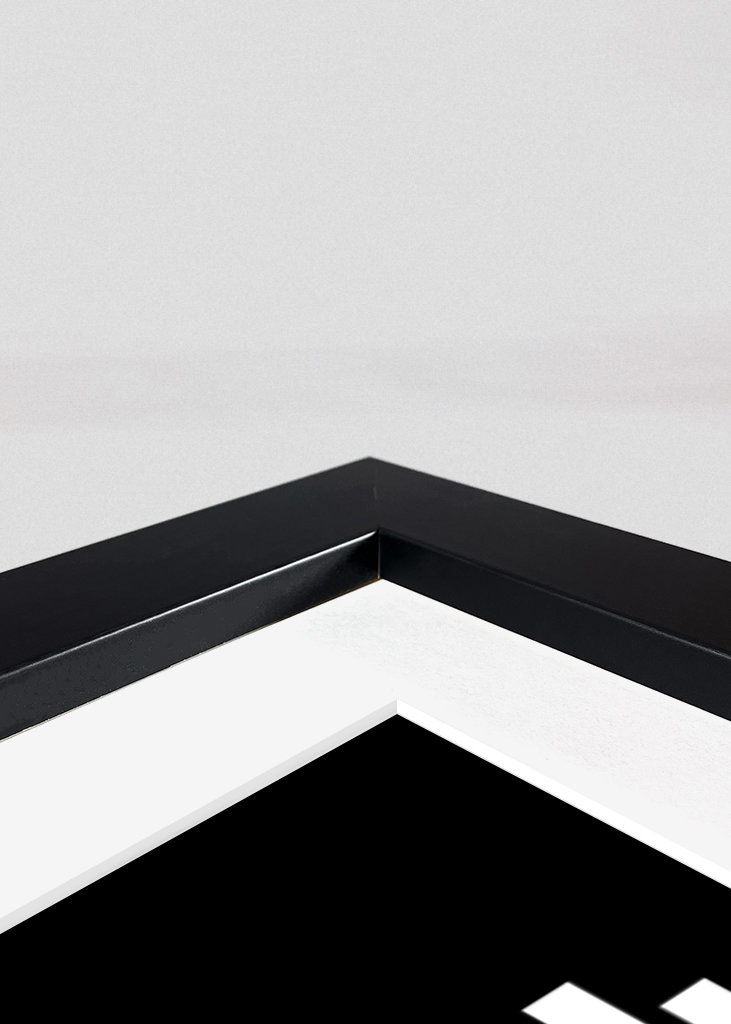 Paul Scholes Pop Art