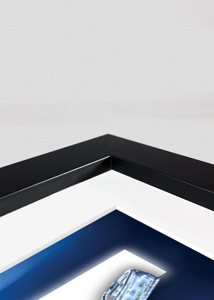 Jude Bellingham Šampióni