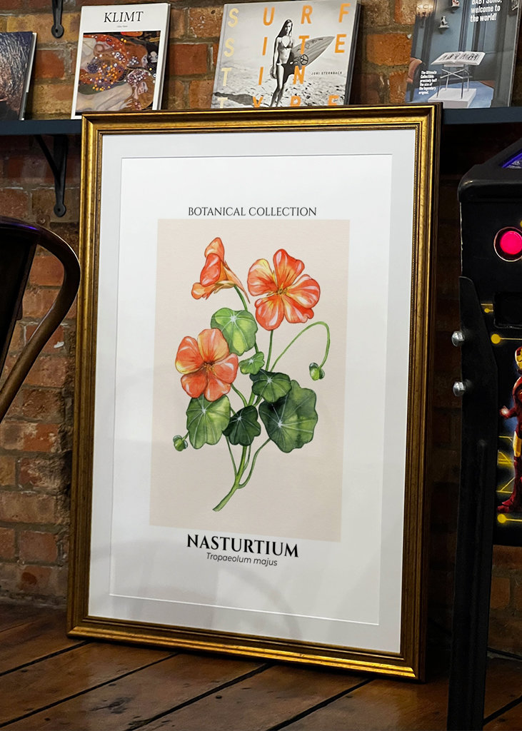 Botanical Nasturtium Flower