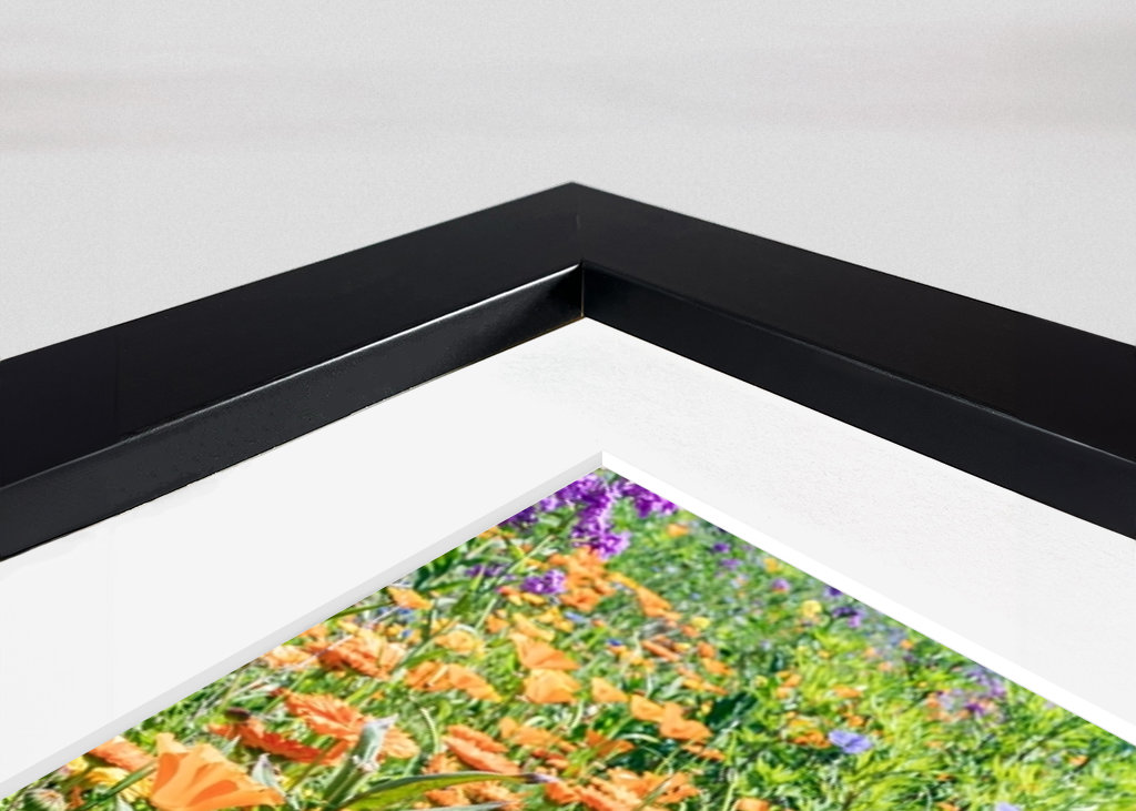 Blumenwiese mit Mohn 