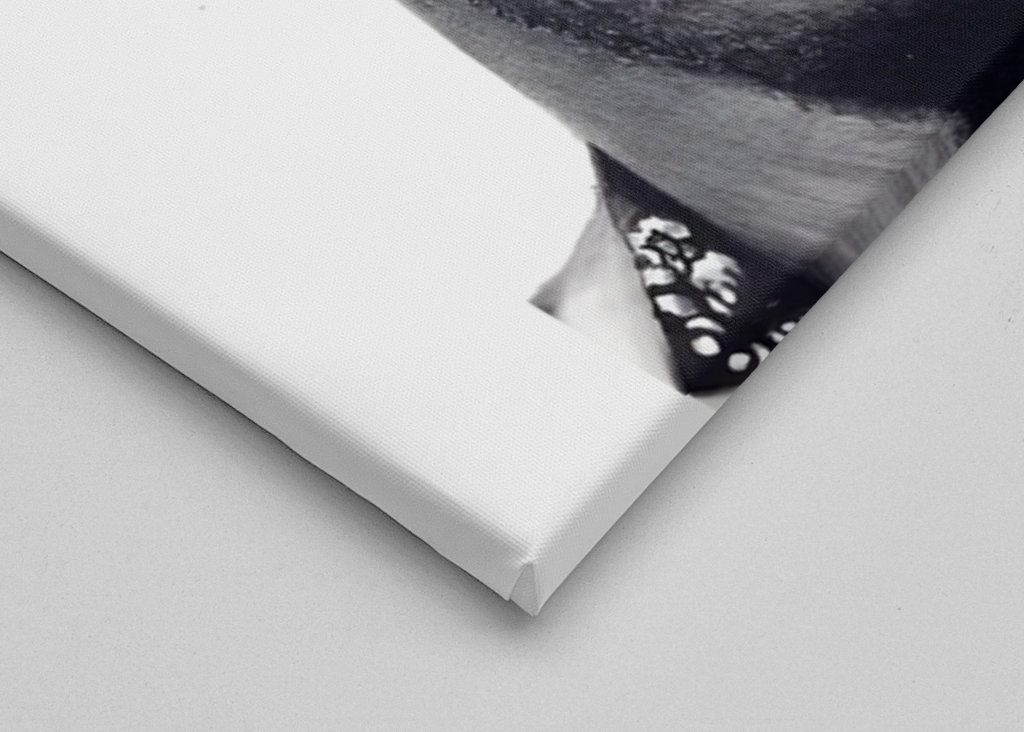 Stevie wonder wpap pop art 