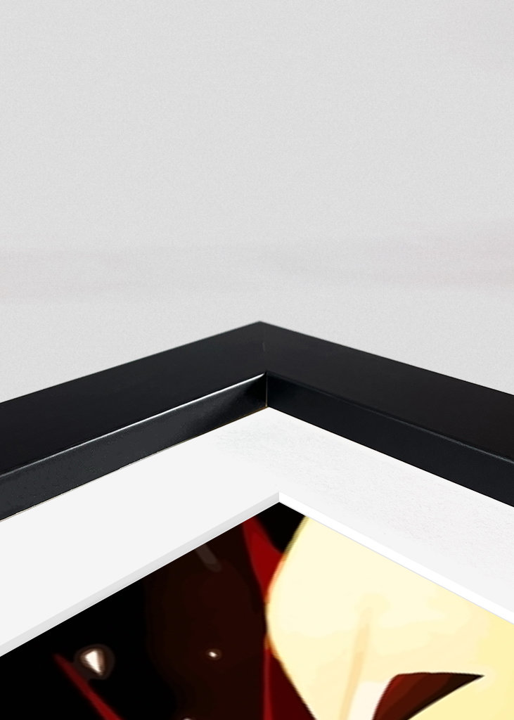 Captain Levi Ackerman