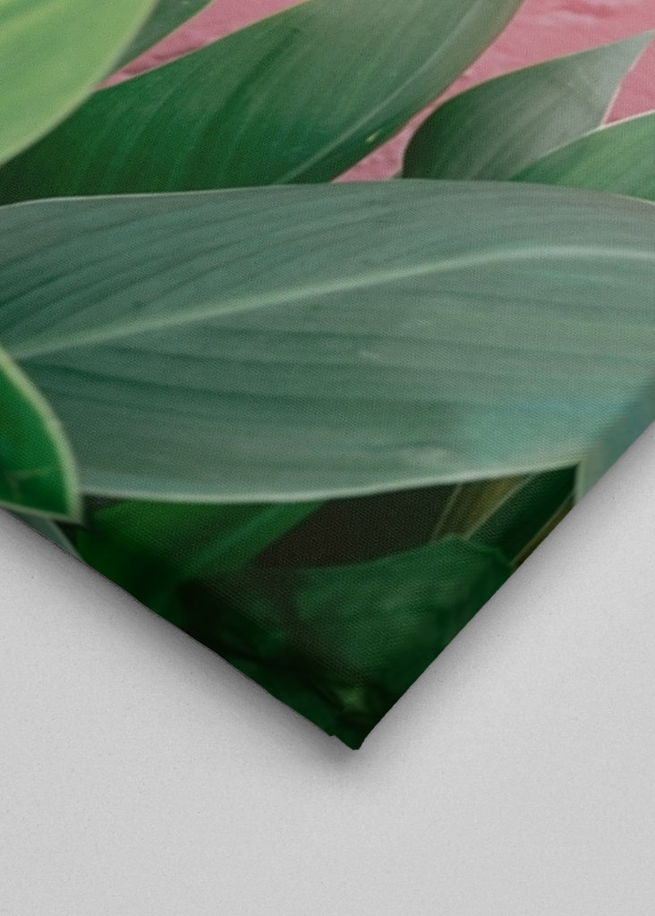 Botanical green plant Spain