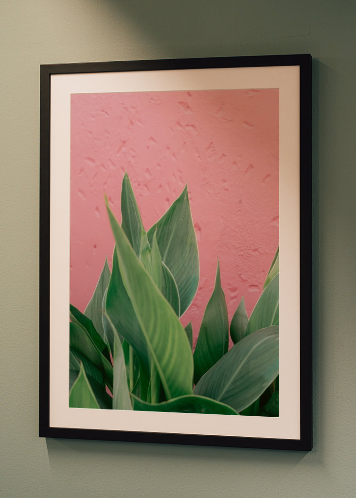 Botanical green plant Spain