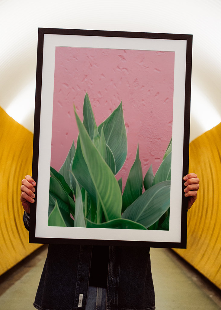 Botanical green plant Spain