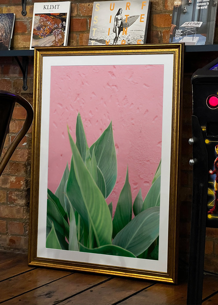 Botanical green plant Spain