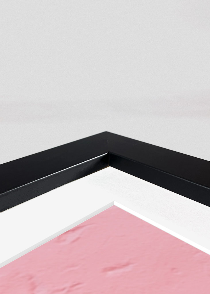 Botanical green plant Spain