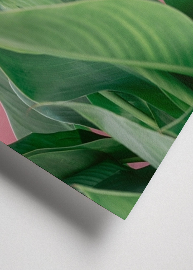 Botanical green plant Spain