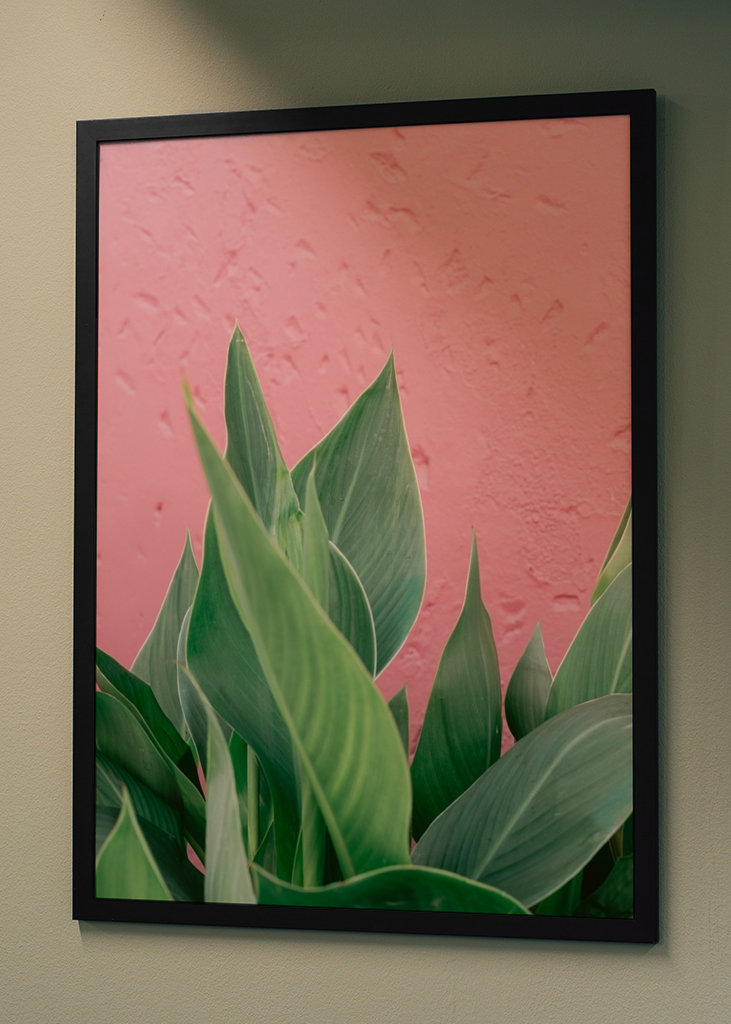 Botanical green plant Spain