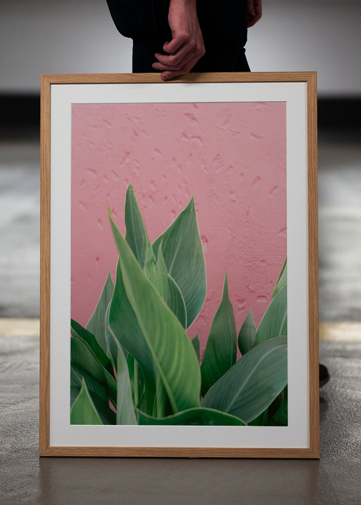 Botanical green plant Spain