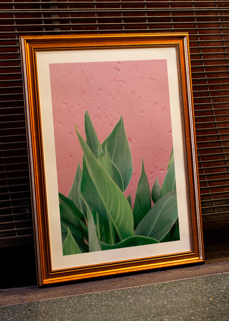 Botanical green plant Spain