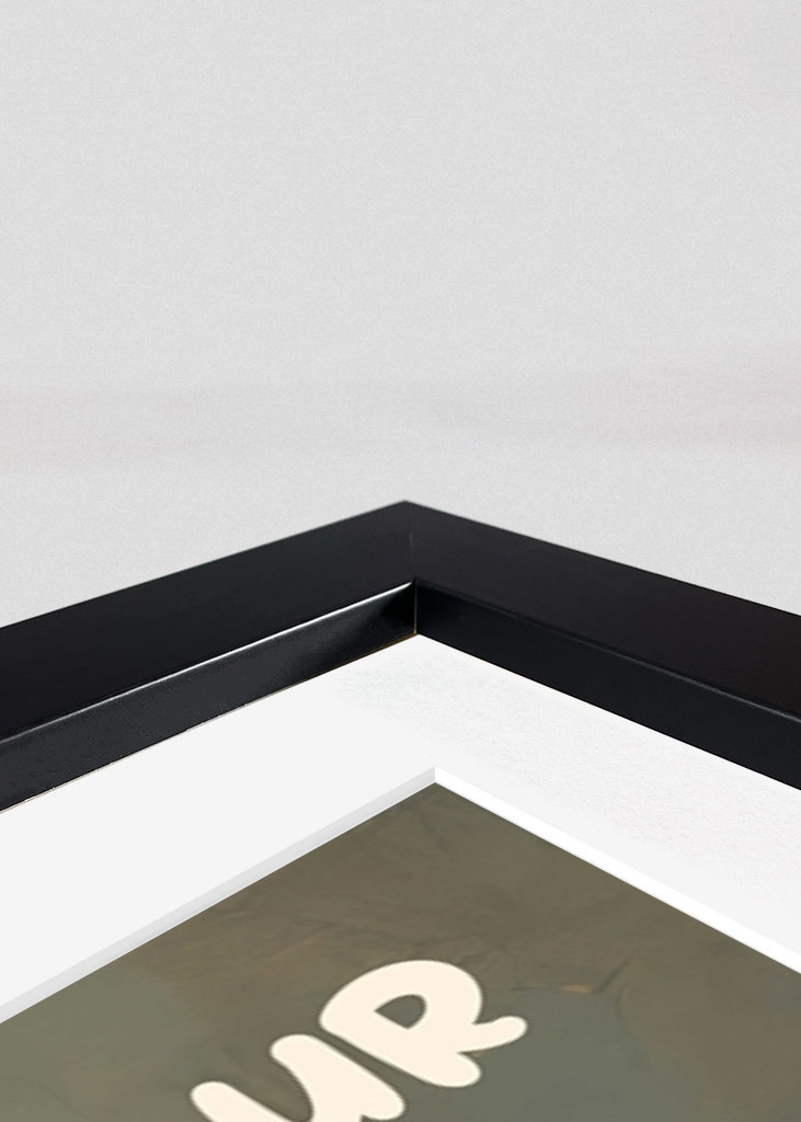 Gato de café bonito