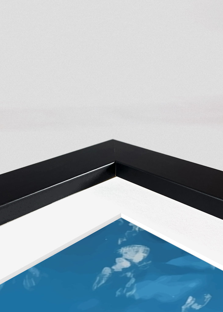 Son Goku Dragon Ball