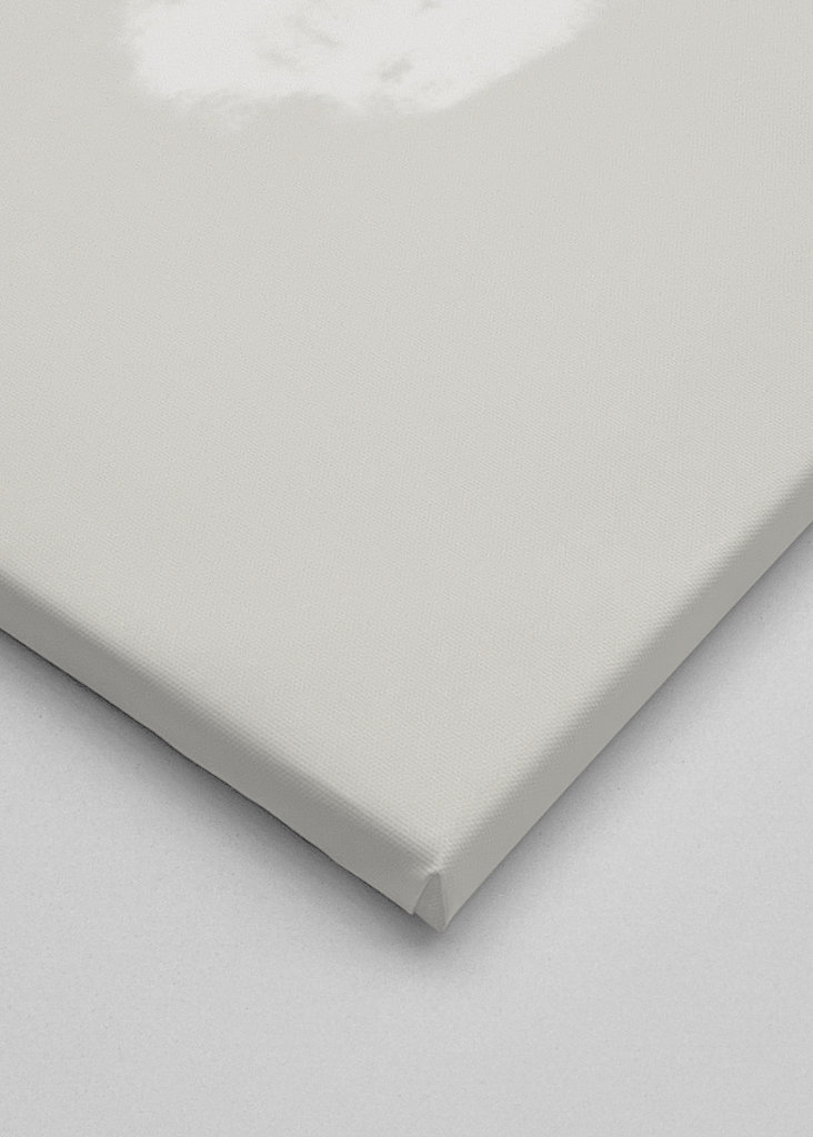 Moderní organické tvary 