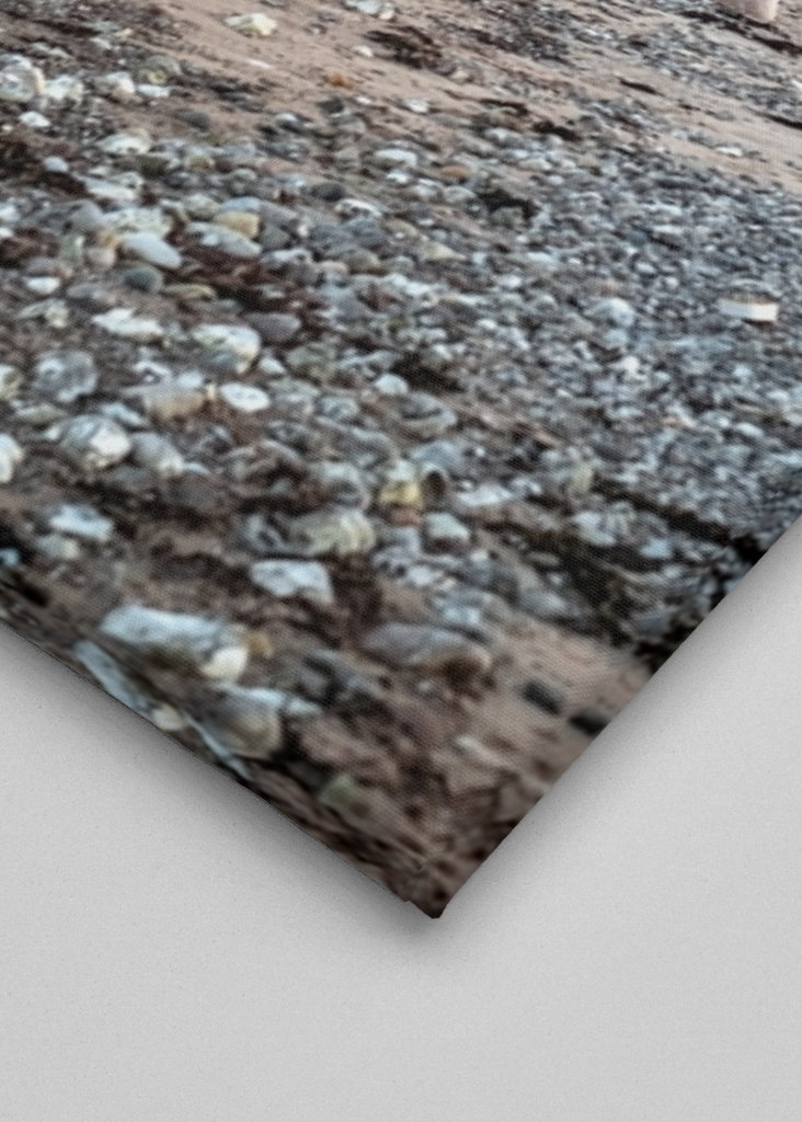 Umístění lůžkovin