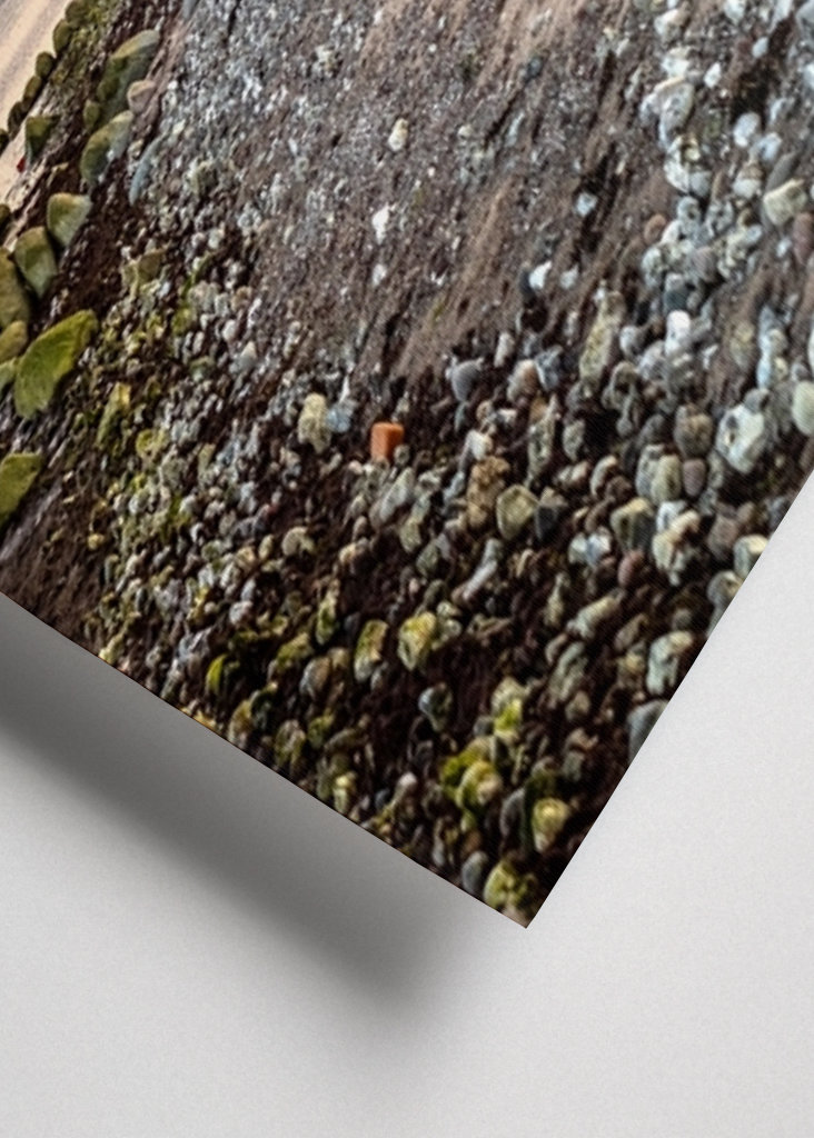 Umístění lůžkovin