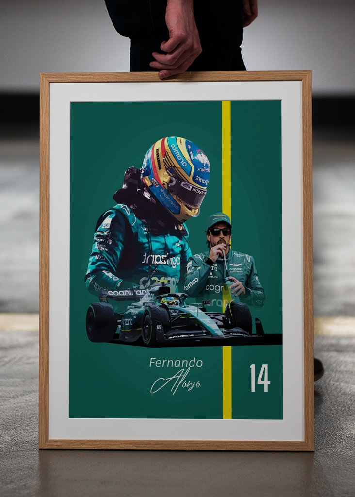 F1 Fernando Alonso