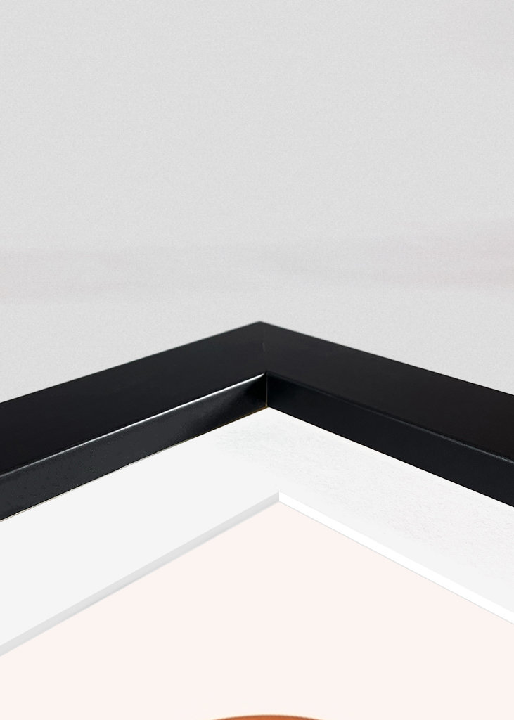 Circles and semicircles 1