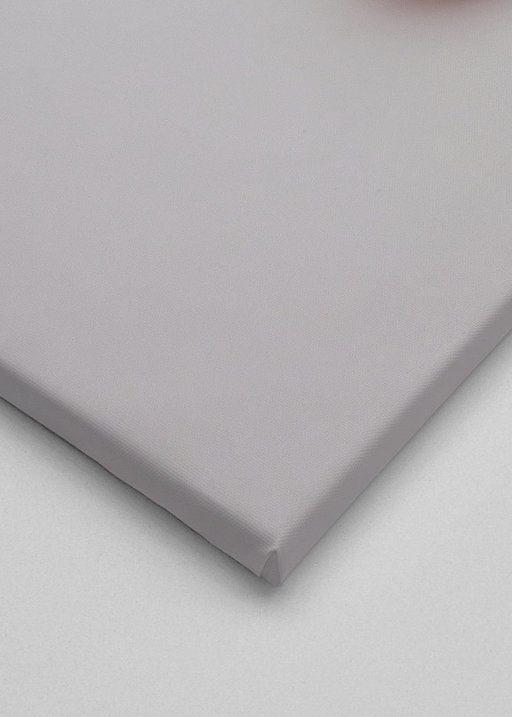 Bébé braque de Weimar