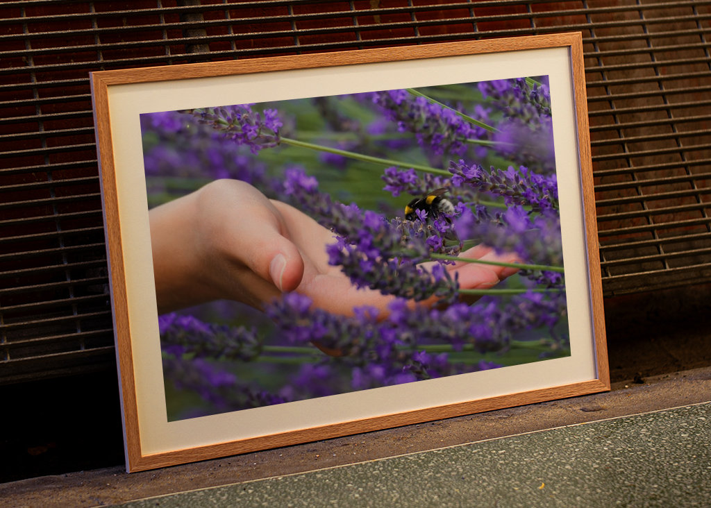 Die Hummel & die helfende Hand