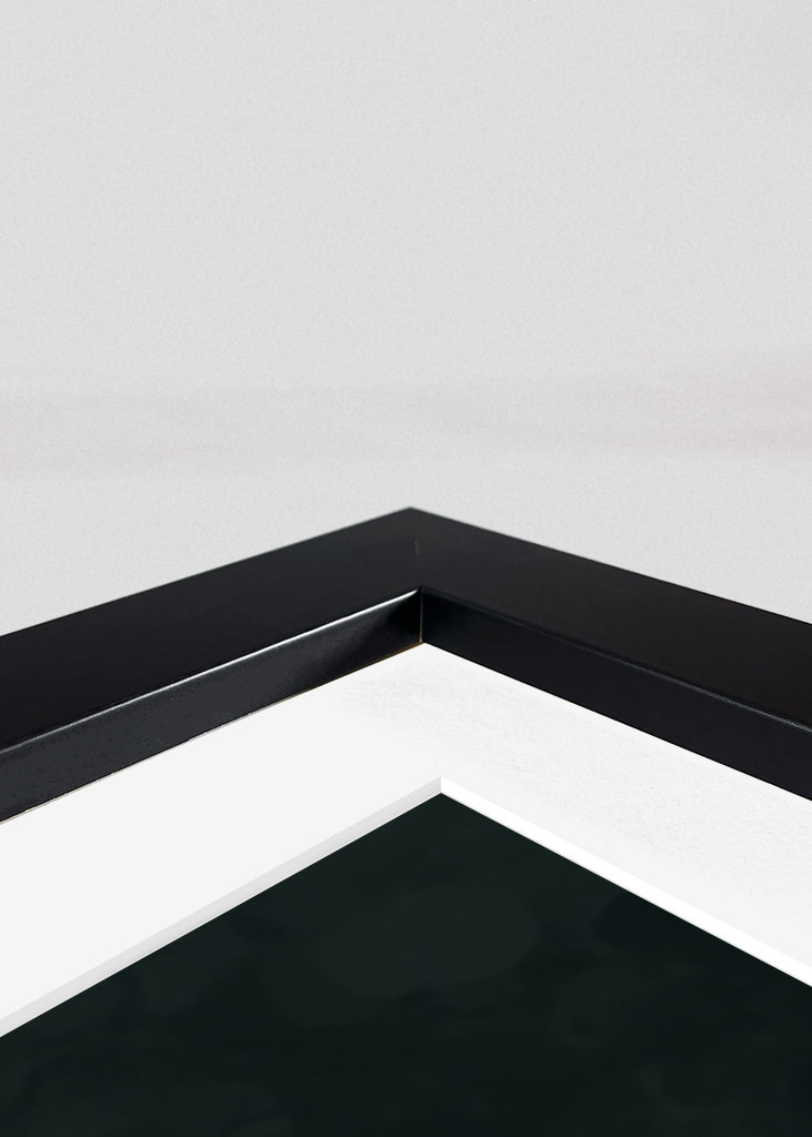 Eukalyptus Blattgold