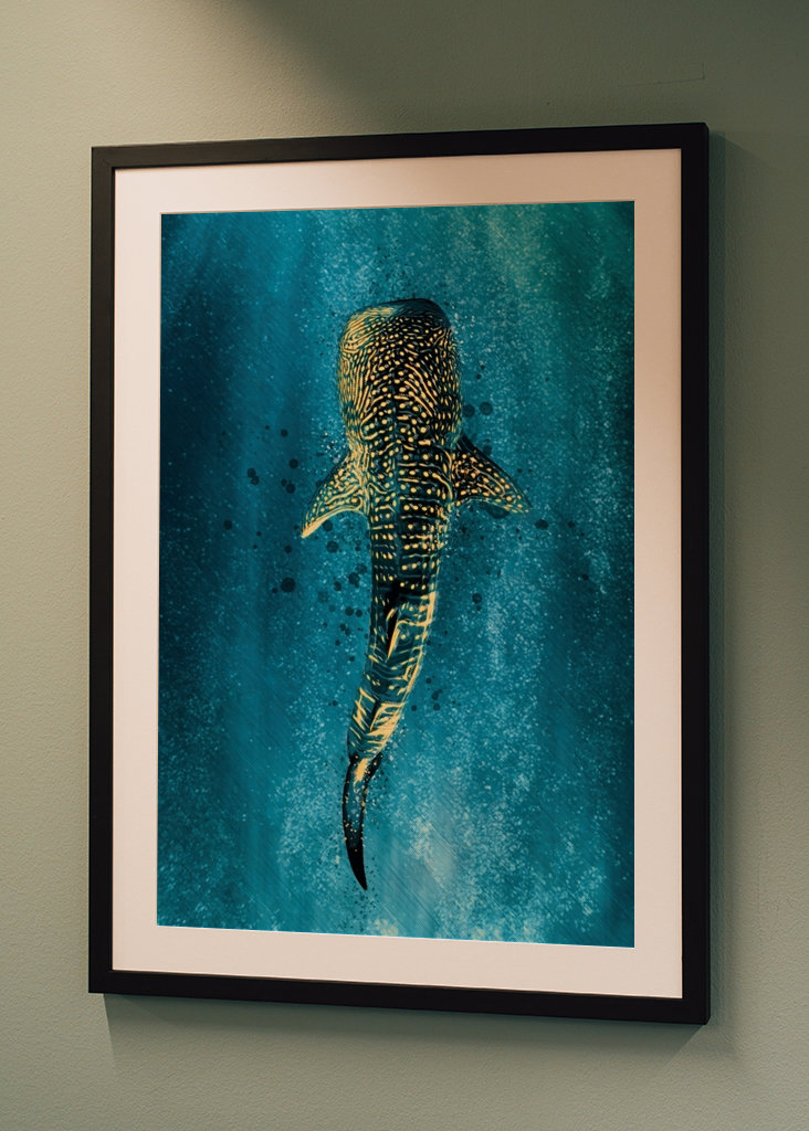 Žralok veľrybí, oceánski obri