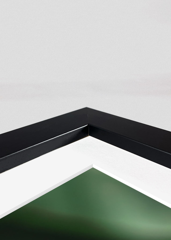 Papegøje dyrefamilie