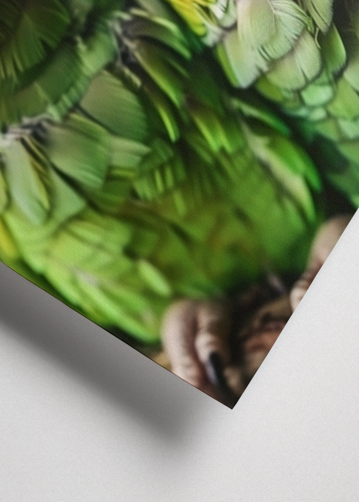 Papegøje dyrefamilie