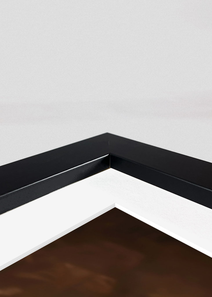 Gepardí zvířecí rodina