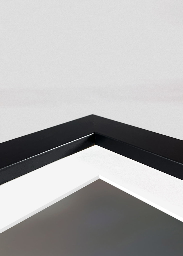 Hjorte Animal Family