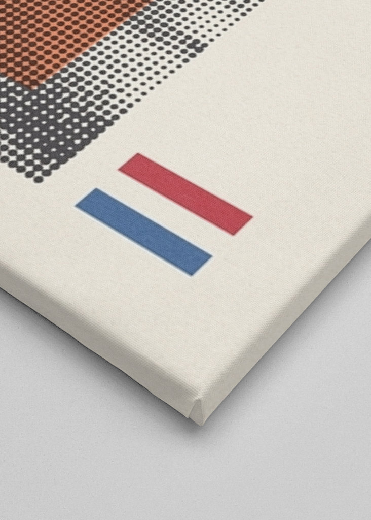 Nederland - Virgil Van Dijk