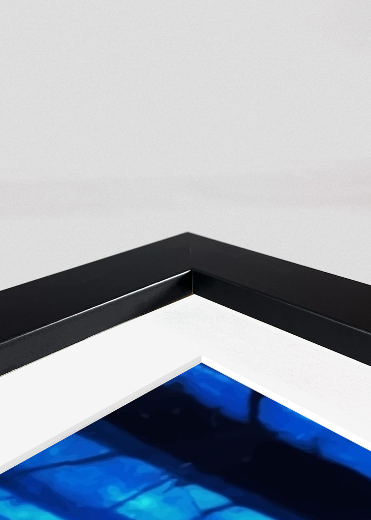 Tomioka Giyu Zabiják démonů