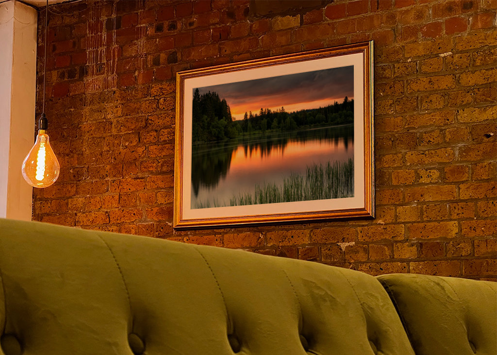 A lake in the Black Forest