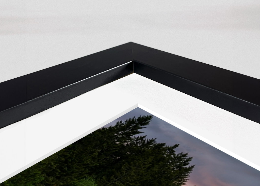 A lake in the Black Forest