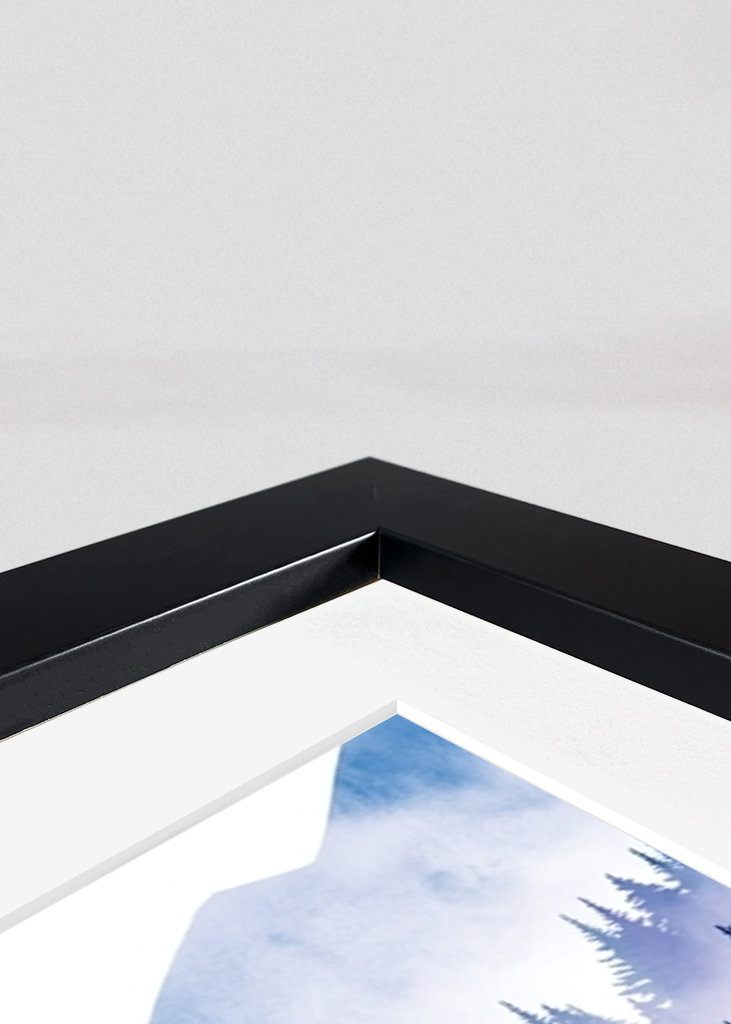 Het Bos van de pijnboom